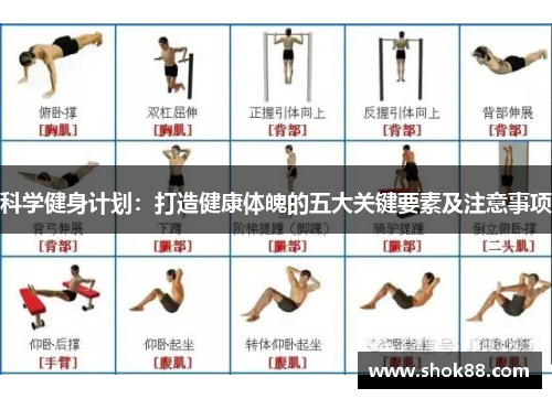 科学健身计划：打造健康体魄的五大关键要素及注意事项